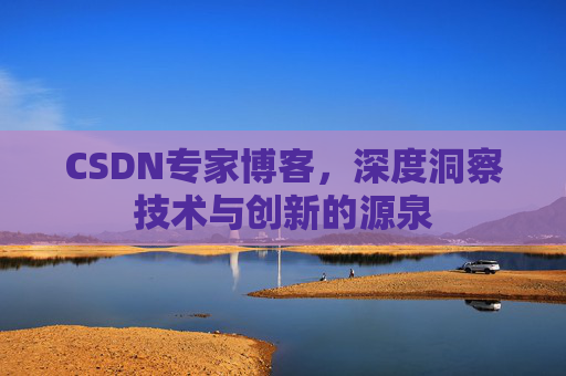 CSDN专家博客，深度洞察技术与创新的源泉